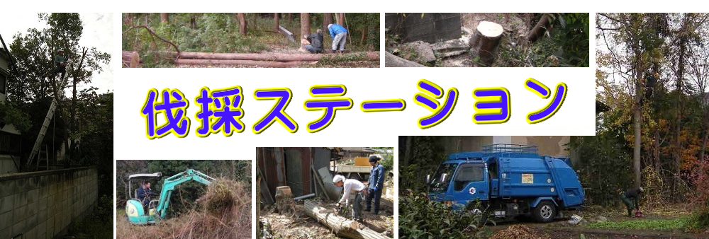 平塚市の庭木伐採、立木枝落し、草刈りを承ります。